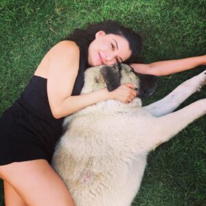 Irem Altug Instagram - Yaz aşkı ❤️ @project_petgang