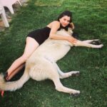 Irem Altug Instagram – Yaz aşkı ❤️ @project_petgang