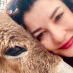 Irem Altug Instagram – #yaşamkuçuları @birpaticetesi bahçemizde eski başkan artık sekreter olursa😂😂 😻😻😻 #arkasıyarın #izmir