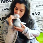Irem Altug Instagram - @cakbipati #satinalmasahiplen #dontbuyadopt @birpaticetesi