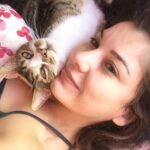 Irem Altug Instagram – Yakında derneğimiz kuruluyor 😻@project_petgang #birpatiçetesi 😻😻😻😻😻😻😻😻😻😻❤️