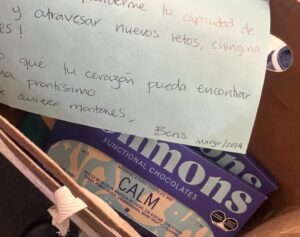 Irene Azuela Instagram - Marzo de tanto. Sentirme homesick en mi propia casa, un estreno espectacular, maratón de funciones, besos a mi persona favorita, video llamadas, días de apapacho, teamback con mis hermanos, paseos obligados con perrita eléctrica. Aprender finalmente la importancia de dormir…