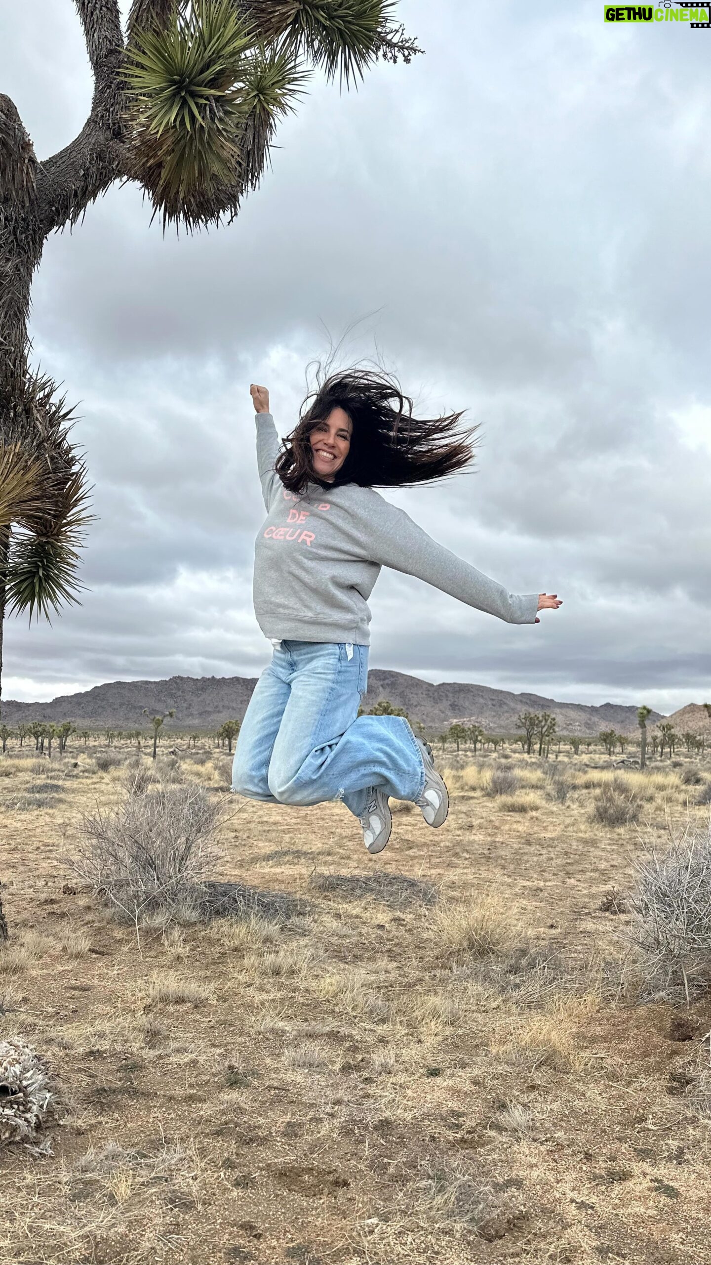 Irene Junquera Instagram - Conociendo Joshua Tree National Park y Palm Springs 🙌🏼