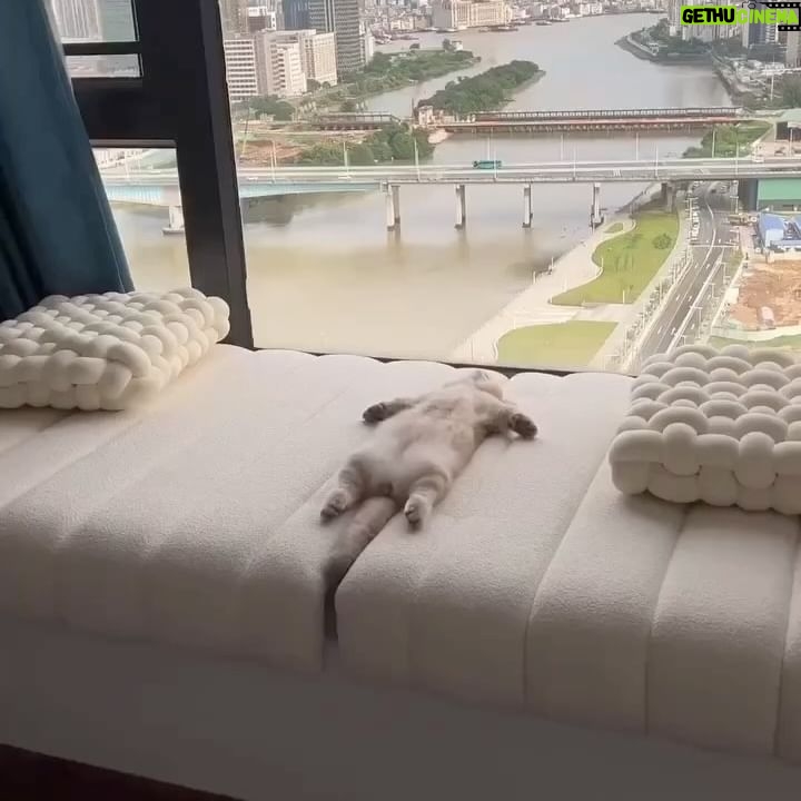 Irene Montalà Instagram - El día después, con la edad, se convierte en los días después 😬
