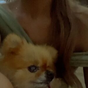 Irene Montalà Instagram - He necesitado unos días para poder hablar de ello desde el amor y la gratitud. Por todas las sonrisas que has dejado a tu paso. Por ser la reina de la calle. Por queremos más que a nada y darnos tanto cariño. Te amo y te amaré por siempre, compañera. No tocaba esto todavía, pero por lo visto así tenía que ser, sin aviso, sin despedida. Saluda a los demás, diles que me acuerdo de todos. Todo mi amor vuela a por ti, yo todavía siento el tuyo. Descansa, Uli🌹
