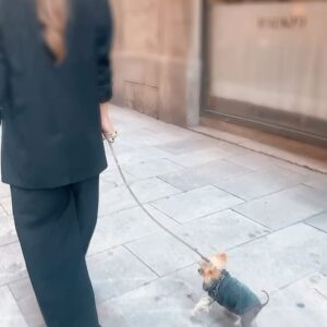 Irene Montalà Instagram - He necesitado unos días para poder hablar de ello desde el amor y la gratitud. Por todas las sonrisas que has dejado a tu paso. Por ser la reina de la calle. Por queremos más que a nada y darnos tanto cariño. Te amo y te amaré por siempre, compañera. No tocaba esto todavía, pero por lo visto así tenía que ser, sin aviso, sin despedida. Saluda a los demás, diles que me acuerdo de todos. Todo mi amor vuela a por ti, yo todavía siento el tuyo. Descansa, Uli🌹