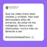 Irene Montero Instagram - Orgullosas, orgullosos y orgulloses de nuestra diversidad ✊🏳️‍⚧️