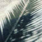 Irina Chesnokova Instagram - Немножко заставок для виновсов ваших наделала. Пишите, если надо скинуть формат для календаря в туалет! #wallpaper #windowsxp