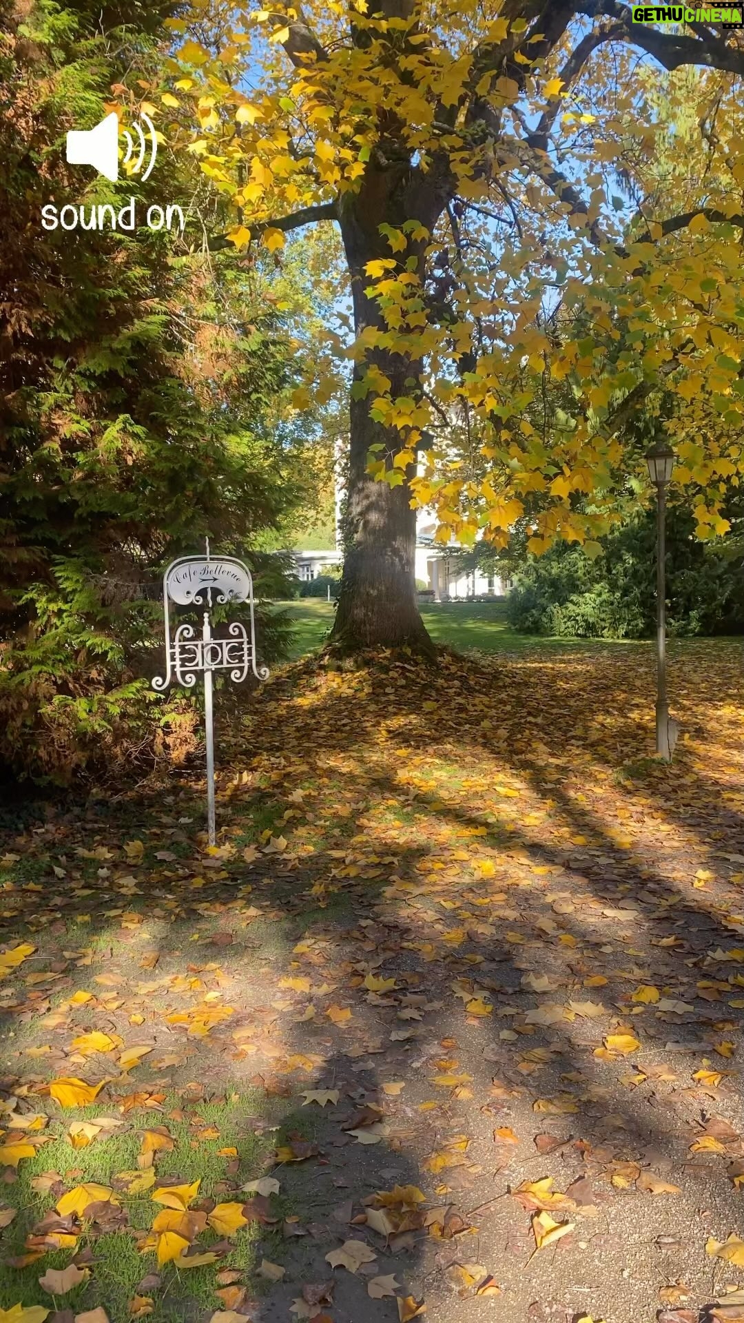 Irina Chesnokova Instagram - Baden-Baden postcard