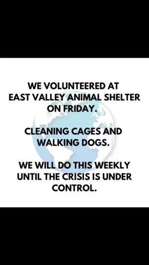 Iris Almario Instagram - Hi guys! Over the years many of you have asked me how you can volunteer to help animals in LA. Well this is it! The LA City Animal Shelters are overwhelmed & we need all hands on deck. If you would like to volunteer with us please send an email to info@wufaw.org 🐾💜

#repost After months of begging for change @laanimalservices and a New GM we decided to put our money where our mouth is and offer our hands-on support. 

After inquiring to @stayceedains a month ago we finally received permission to volunteer at the 6 city pounds without having to be one of their “regular” volunteers. 

Our first day helping was last week and it sure was eye-opening. The shelters are severely understaffed yet overflowing with animals.  Many on the staff really care, especially @xoloitzcuintli_mommy who welcomed us and was grateful to have our support. 

While cleaning cages and walking dogs won’t fix the problem at large it at least provides some relief to the staff and love to the animals. 

We went to East Valley but are hoping to get groups together to help at all 6 locations. 

Please email us if you are interested in joining!
Info@wufaw.org 

#wufaw #localinitiatives #laas #shelterhelp #losangelescityshelters #volunteerwork #compassionforanimals #volunteersneeded #animalshelter #volunteerism #thingstodoinla #voluntarios #voluntario #laanimalservices #laanimalshelters #lovedogs🐶