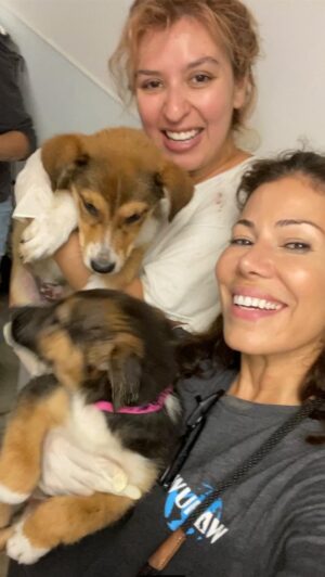Iris Almario Instagram - There are over 400 animals at East Valley Shelter. We were able to help out 30 of them by cleaning cages, walking dogs, doing laundry & feedings. There were just a few of us last week. We would love as many hands on deck as possible. If you would like to volunteer with us please email info@wufaw.org I hope to see you there. 💜 🐾 

Our city shelters are grossly understaffed and overwhelmed. The constant intake of new animals dumped by their owners has put a huge burden on an already struggling system. 

We have been very vocal about the new GM and the problems facing @laanimalservices and we couldn’t sit by and watch dogs suffer any longer. We had to do something. So until things can be resolved and more staff is hired we committed to volunteering every Monday at East Valley Animal Shelter. If you have experience handling dogs we would love your help. 

Also, we encourage other rescue groups to spearhead this same initiative at the other shelters desperately in need. Especially those groups who have been as vocal as us.  Please reach out with any questions on how to get started. @laanimalservices has eased up the process for New Hope Partner Organizations that want to help. 

#talkaboutitbeaboutit #wufaw #volunteeringmatters #adoptsavealife #banbackyardbreeders #volunteersneeded #shelteranimals #laanimalshelters #eastvalleyshelter #lovedogs🐶 #compassionforanimals