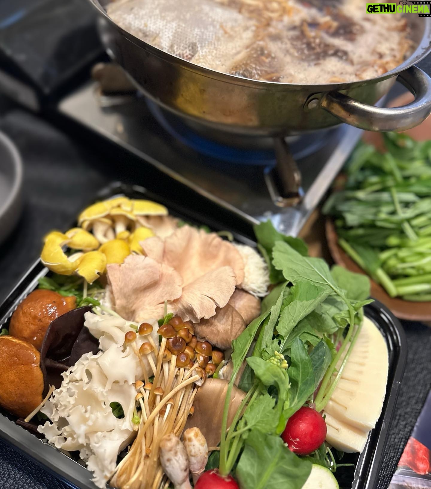 Iroha Yanagi Instagram - ・ この間食べに行ったシャングリラズシークレット🥘 きのこしゃぶしゃぶのお鍋の素ときのこのセットで お家で再現してみた𓊤◯𓌉 きのこの出汁がしっかり滲み出た ブラックスープがデトックス効果絶大なんよね🔥 野菜も旬な筍も入ってたりラディッシュ、たもぎ茸とか 彩り豊かで写真撮り甲斐がある📷🤍 なかなかスーパーでお目にかからない 珍しいお野菜も摂れるのが嬉しい🤤 きのこだけでもお腹満たされるから 超絶ヘルシーな最近の推しごはんです🫠👍 スティックタイプで手軽に朝とかマグカップで ブラックスープを味わえるのが 今セールで40%オフの¥1,944で入手できちゃう お得期間みたいだよ〜! このスープに好きなキノコを漬けて マリネとか料理に使えるのもgood◎ 身体がデトックスすると仕事とか生活のパフォーマンス 変わってくるから定期的に習慣に取り入れるの 大事だとすごく思う。 GWの暴飲暴食するなーって方、今のうちに是非☺️笑。 @shangrilassecret #shangrilassecret #シャングリラズシークレット #ブラックスープ #デトックス #きのこしゃぶしゃぶ