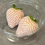 Iroha Yanagi Instagram – 🍓🍓🍓

念願のいちご狩り♪
一足先に春らしいことしてみた。
たくさんの品種食べ比べ🤤
珍しい白いちごに黒いちごが食べれたよ〜
👧🏻初体験。
ぷちっともぎ取るのが
新鮮だったみたいで
意外と遠慮がちだった笑

🍓だけで初めてお腹いっぱいになったね😂
ビタミン補給100%✨
どれも美味しかったけど
中でもおいCベリーって品種が私は好きだったな〜🫶🏻
このちあきのいちご園にはビニールハウスの中に
遊具とかある子供が喜ぶスペースもあったり
ポニーちゃんもいたりと最高でした🐴🤍

#いちご狩り🍓 #いちご農家 #ちあきのいちご園 
#子連れスポット #子連れいちご狩り