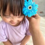 Iroha Yanagi Instagram – ・
お花が好きなんだって。
ママに似たのかな？

お母さんにしてくれてありがとう💗

#3歳児によく間違えられるけどまだ１歳 
#背高め女子 #お花好き #お花のある暮らし 
#女の子ママ #令和3年8月ベビー #令和3年ベビー #1歳9ヶ月 #女の子コーデ
