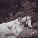 Isabel Lucas Instagram - My sister and I watched an unreal amount of horse movies growing up. All the classics; National Velvet, The Silver Brumby, The horse Whisperer, The Black Stallion, Pharlap, Spirit, The Man From Snowy River, the list goes on. I’ve been following the powerful work of @kindfarmhorserescue. They’re a small, local (to me) organisation that re-homes horses in risk of slaughter, like older mistreated horses and ex-racehorses. It’s moving to witness the evolution and healing, the light returning in their eyes and even their trust, playfulness restored when they find their a safe and healthy home. It reminds me of another childhood film; Black Beauty. You can support them here @kindfarmhorserescue Pictures from a few years back by @arterium with horses from @theranchbyronbay for ‘Sisters of Substance'. Bless you @arterium #thekindfarm #horsehealing #healinghorses