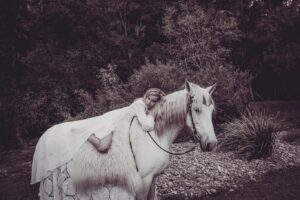 Isabel Lucas Instagram - My sister and I watched an unreal amount of horse movies growing up. All the classics; National Velvet, The Silver Brumby, The horse Whisperer, The Black Stallion, Pharlap, Spirit, The Man From Snowy River, the list goes on.

I’ve been following the powerful work of @kindfarmhorserescue. They’re a small, local (to me) organisation that re-homes horses in risk of slaughter, like older mistreated horses and ex-racehorses.

It’s moving to witness the evolution and healing, the light returning in their eyes and even their trust, playfulness restored when they find their a safe and healthy home. It reminds me of another childhood film; Black Beauty. 

You can support them here @kindfarmhorserescue 
Pictures from a few years back by @arterium with horses from @theranchbyronbay for ‘Sisters of Substance'. Bless you @arterium 

#thekindfarm #horsehealing #healinghorses