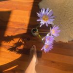 Isabel Lucas Instagram - Appreciating the languages of warmth, nature and women. A reminder that lightness and beauty unfurls the moment we choose to be ourselves.