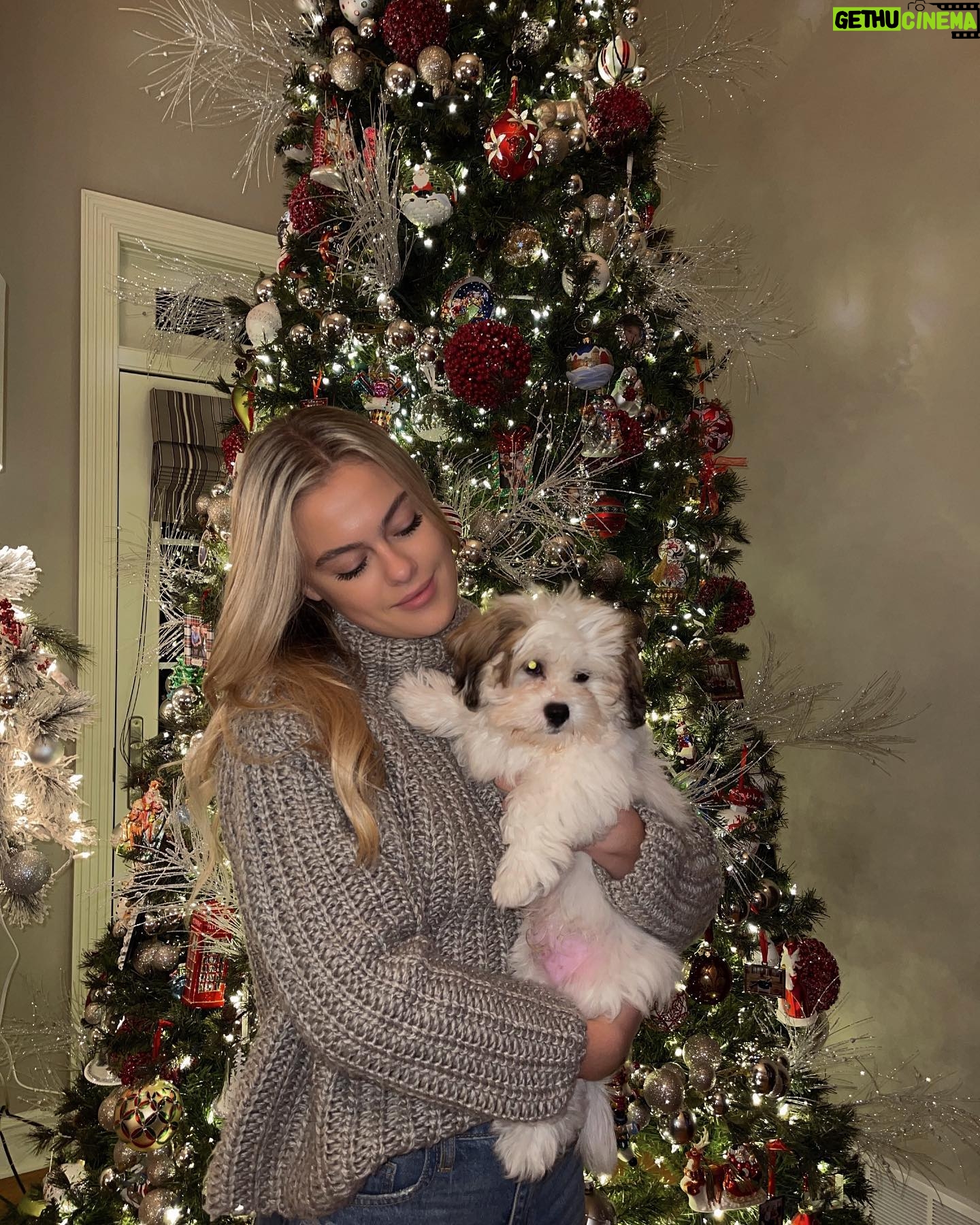Isabella Alexander - 3.6K Likes - happy Thanksgiving from my little fluff and I! 🤎🍁🦃
