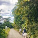 Isabella Gómez Instagram – Jardín es un pedacito del cielo en la tierra 💐