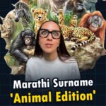 Ishita Arun Instagram - The animal-friendly Maharashtrians! Add more in the comments⬇️ . . . . . . . . . . . . . . . . . . . . . . . . . . . . . . . . . . (Marathi, Marathi surnames, Lastname, Funny) . . . #wagh #waghmare #hattimare #gaitonde #manjrekar #dukare #landge #kolhe #mungi #makode #magar #ghorpade #morey #aswale #kawale #surnames #marathi #mahrashtrian #lastname #funnyreel #tiger #cats #fyp #foryoupage #relateable #animallovers #ishittaarun