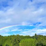 Ito Ohno Instagram - 雨上がりの晴れ空に、端から端まで美しい虹がかかっていました☺️🫶 #🌈