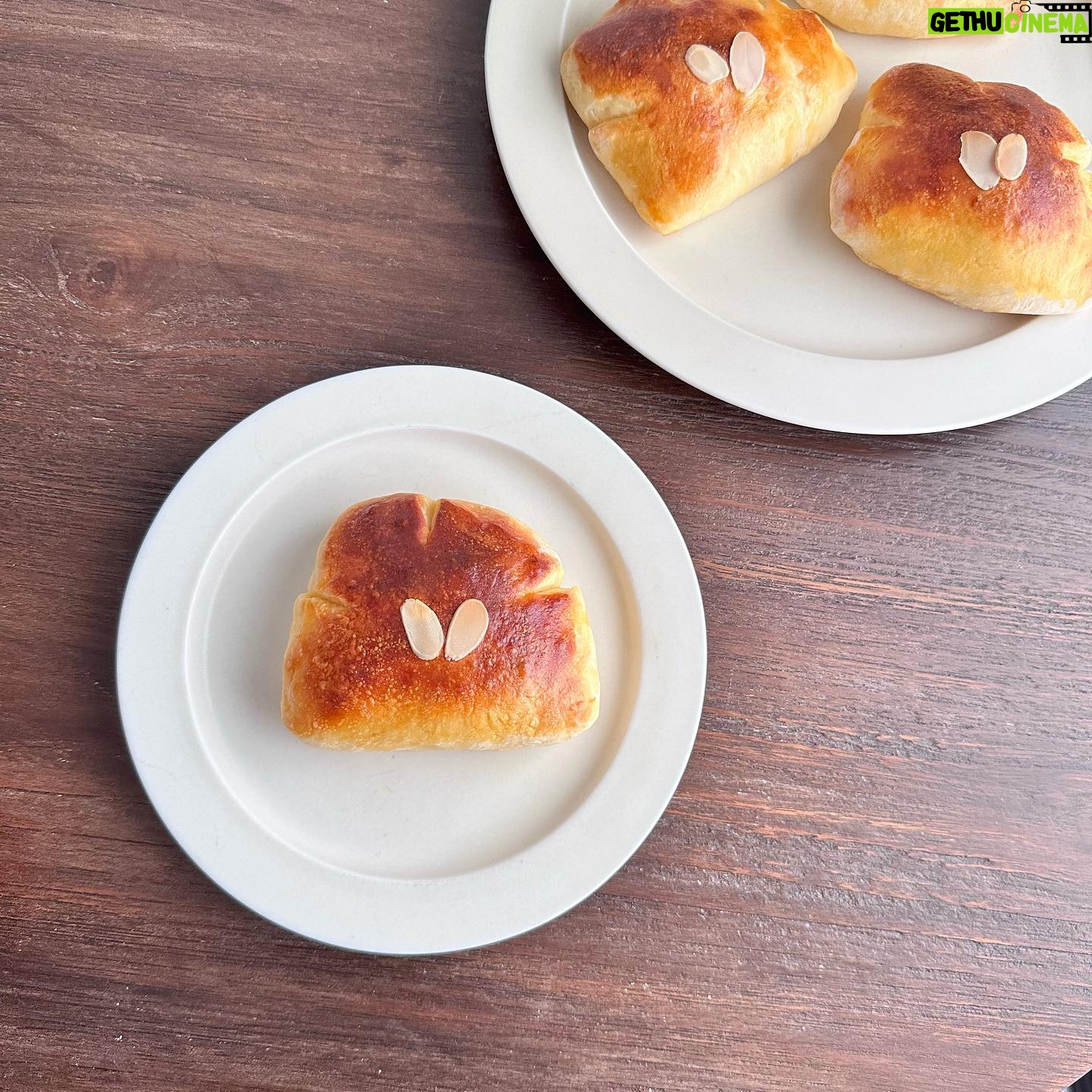 Ito Ohno Instagram - クリームパン、作ってみました。 でも、やっぱりパン好きとしては、お店には勝てるわけもなく。パン作りもっと上手くなりたい😵💫 #クリームパン #手作りパン