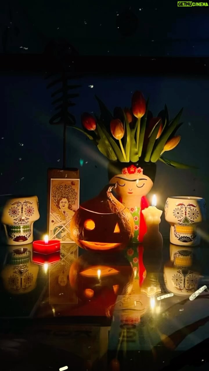 Itziar Castro - 3 Likes - About last night. Noche de los muertos 💀🎃🌺🇲🇽 en muy buena compañía @ainhoacantalapiedra @noeliamarlo_ @carlosarnelas @movesbysabrii
#nochedelosmuertos #halloween #tequila #rancheras #méxico #mariachis #ainhoacantalapiedra #carlosarnelas #sabrinaazocar #itziar #itziarcastro #itziarcastrovisavis #todoslossantos #totssants #recuerdame #diadelosmuertos #aboutlastnight #ingoodcompany #besos #besosconsentidos #lagatabajolalluvia #sinosdejan #megustasmucho #frida #fridakahlo