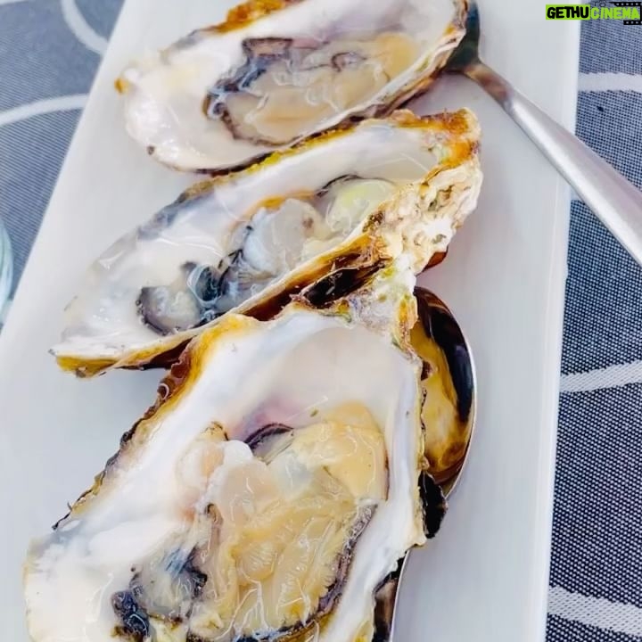Itziar Castro - 4.9K Likes - Mis padres han trabajado todos los festivos de su vida, no han tenido casi vacaciones, y verles disfrutar como niños pequeños es algo que me emociona mucho. 🥹
Gracias a @alcossebreseaexperience por ayudarme a hacerles disfrutar ❤️
Volver a ver sonreír a mi padre en el 🌊 🐙
Mi madre disfrutando de cada momento🍹🦪
La 1a vez en su vida por el delta 🌾 y viendo 🦩
Sigo emocionada! 🥰
#verano #familia #family #summer #alcossebre #deltadelebre #deltadelebro #trabucador #flamenco #reservanaturaldeldelta #itziar #itziarcastro #itziarcastrovisavis #love #amor #emoción #comoniños #disfrutar #vida