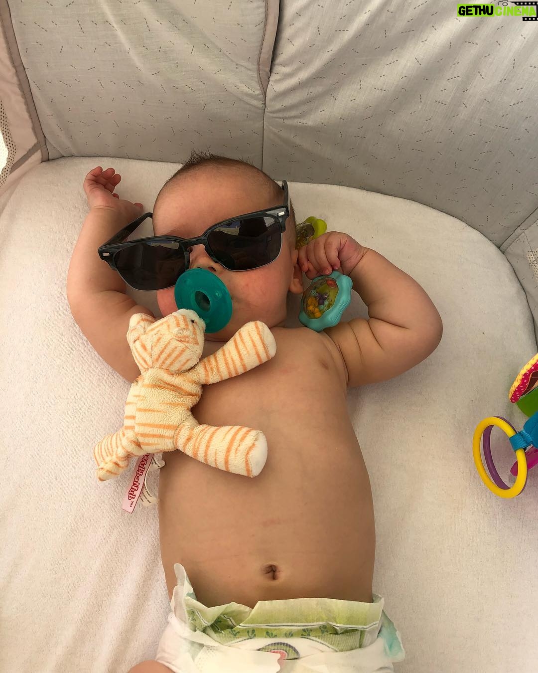 Ivana Miličević Instagram - Happy birthday Phoenix!! 16 weeks old today! Say whaaaaa? This is flying by. Also, do you have an agent? He would like to represent you. #MakinDeals @paddyhogan1