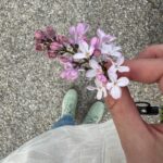 Ivana Surovcová Instagram - Útržky z posledných dní🌸 Voňavá JAR a jej spoznávanie 👧🏽👶🏼