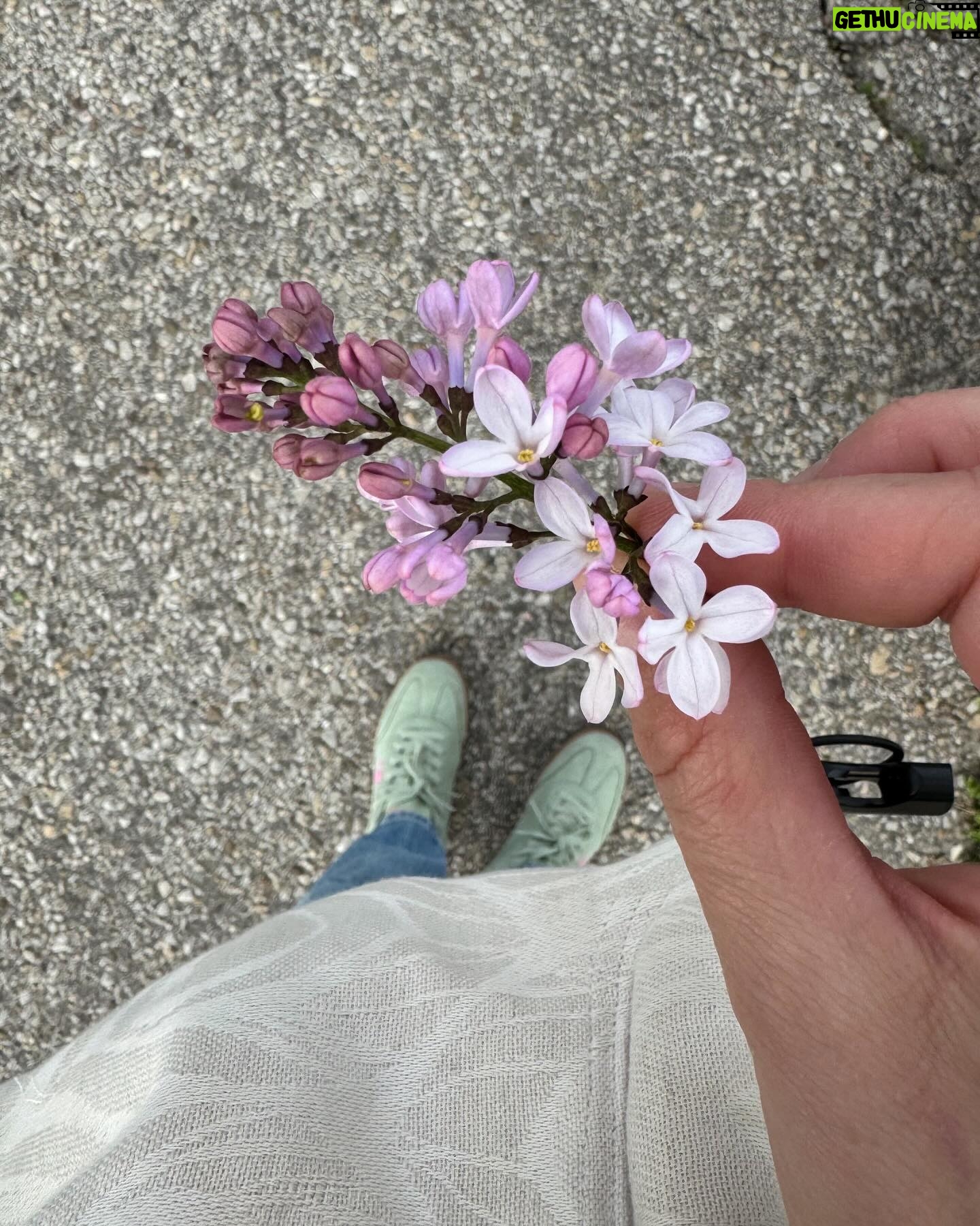 Ivana Surovcová Instagram - Útržky z posledných dní🌸 Voňavá JAR a jej spoznávanie 👧🏽👶🏼