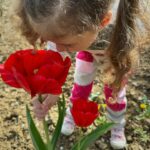 Ivana Surovcová Instagram - Radosti dnešného dňa🫶🏻 1. Spoločné chvíle s babičkou 2. Bella zahradníčka 3.Jar- fascinuje ma vsetko kvitnuce 4. Spoznávanie roznych vôní🌷 5. Najkrajšia kytička zo záhradky od maminy❤️