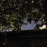 Ivonne Coll Instagram - Jupiter and Saturn in conjunction, as seen from my backyard in Puerto Rico, as winter officially begins #wintersolstice #estrelladeBelen2020 #los3reyesmagos #felicidades! @Ivonnecollofficial