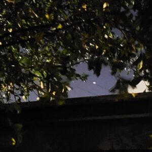 Ivonne Coll Instagram - Jupiter and Saturn in conjunction, as seen from my backyard in Puerto Rico, as winter officially begins #wintersolstice #estrelladeBelen2020
#los3reyesmagos
#felicidades! @Ivonnecollofficial