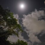 Ivonne Coll Instagram - Last nights' Moon over the beautiful Sky of my beloved Puerto Rico as I came out of Centro de Bellas Artes after seeing "Las Bohemias en Concierto de Vellonera" #Boricuatalent #excellentperformance