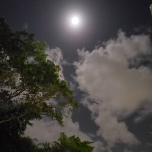 Ivonne Coll Instagram - Last nights' Moon over the beautiful Sky of my beloved Puerto Rico as I came out of Centro de Bellas Artes after seeing "Las Bohemias en Concierto de Vellonera" #Boricuatalent #excellentperformance