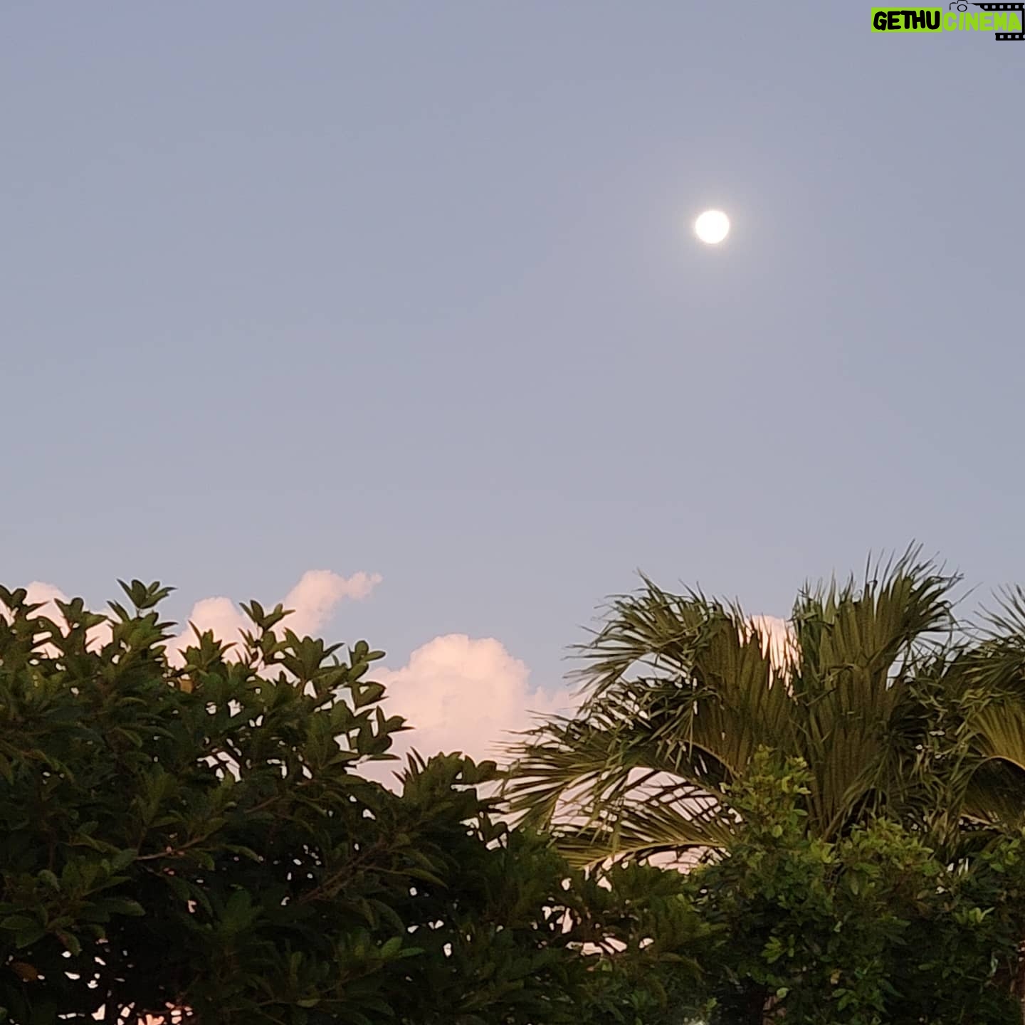 Ivonne Coll Instagram - Full moon January 2022 at sunset, home, in my beautiful Island. #puertorico🇵🇷 #blessed #grateful