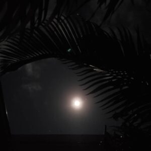 Ivonne Coll Instagram - Earthquake moon over Puerto Rico. Happy New 2020! #3kingsdayquake #jan6 #6.6
#GodBlessPuertoRico🇵🇷