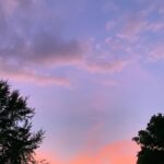 Izabela Vidovic Instagram – Last slide best slide