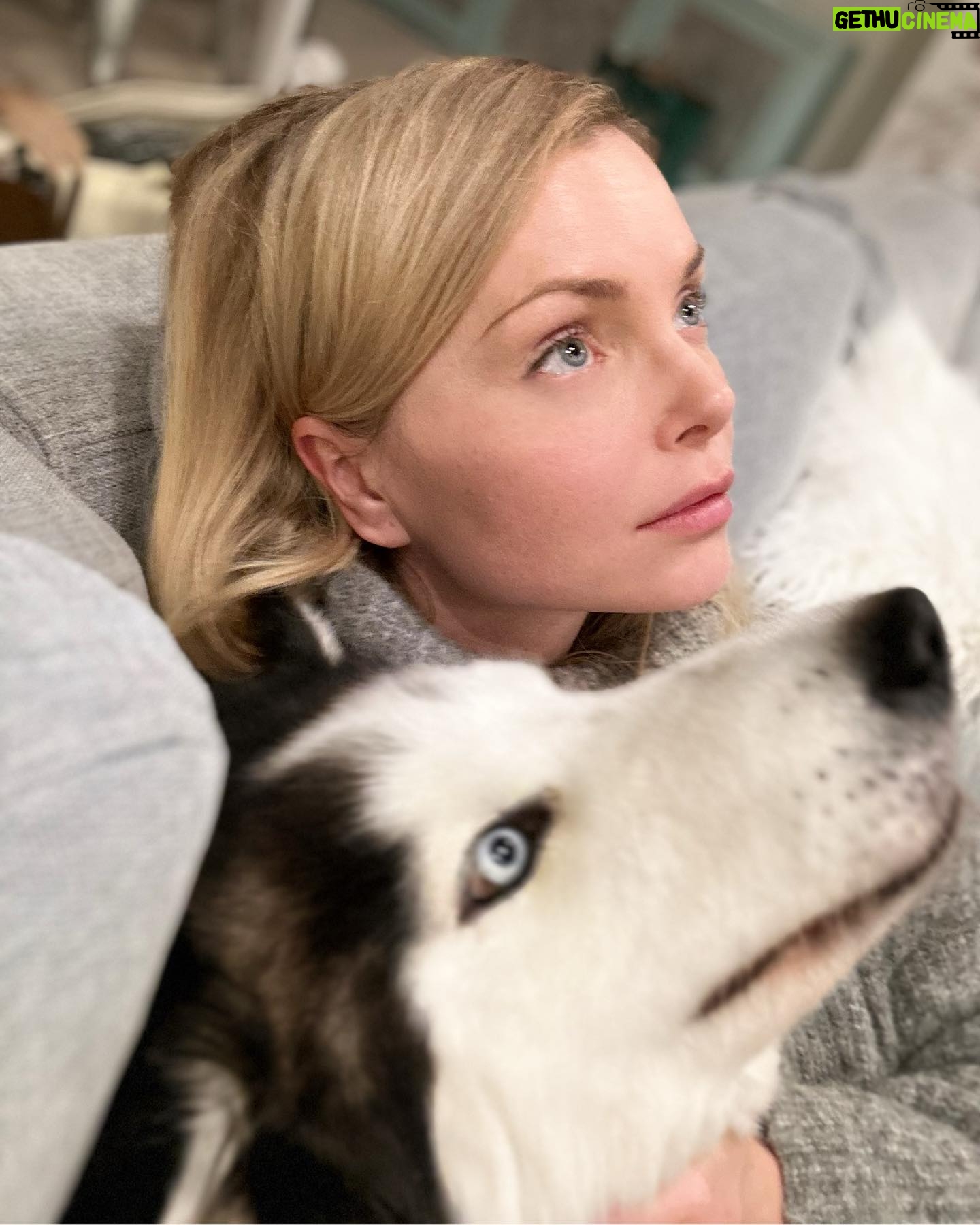 Izabella Miko - 3 Likes - Yes, our pets are our mirrors and also such great teachers for us. Keanu and I are so similar in a lot of ways. It takes a lot to earn our trust, but once you do, we are yours forever. We don’t jump around begging for attention, because we know our worth, but once you have OUR attention we will love you so fiercely and deeply, you will never be the same…but we are both very selective:-)
I’m so happy Keanu chose me to adopt him. He’s a very “challenging” dog, but oh man the loyalty and the love he shows me… 😍 He tried to stop me from packing for Poland and kept laying on top of me. He was already missing me. Haha!
This cozy sweater is from @mohitofashion as you keep asking me about all my recent winter wear :-)
#mansbestfriend #rescuedog #rescuesofinstagram #dogsofbark #huskyheaven #dailybarker #rescue #husky #huskiesofinstagram #huskylove #malamute #malamutehusky #malamutehuskymix #adoptdontshop
#bestfriends #greatestteacher #dogswholookliketheirowners #dogrelationship #doggoals #mirrorwork #lovefiercely