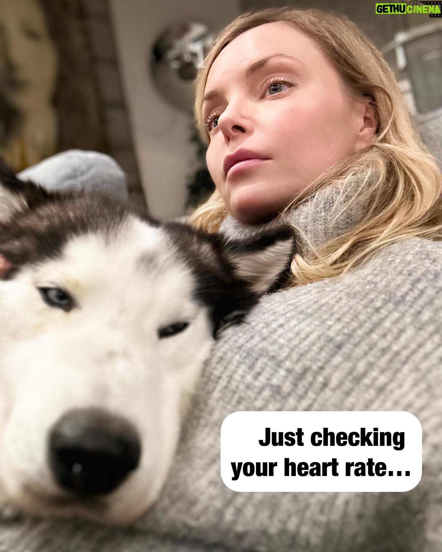 Izabella Miko - 3 Likes - Yes, our pets are our mirrors and also such great teachers for us. Keanu and I are so similar in a lot of ways. It takes a lot to earn our trust, but once you do, we are yours forever. We don’t jump around begging for attention, because we know our worth, but once you have OUR attention we will love you so fiercely and deeply, you will never be the same…but we are both very selective:-)
I’m so happy Keanu chose me to adopt him. He’s a very “challenging” dog, but oh man the loyalty and the love he shows me… 😍 He tried to stop me from packing for Poland and kept laying on top of me. He was already missing me. Haha!
This cozy sweater is from @mohitofashion as you keep asking me about all my recent winter wear :-)
#mansbestfriend #rescuedog #rescuesofinstagram #dogsofbark #huskyheaven #dailybarker #rescue #husky #huskiesofinstagram #huskylove #malamute #malamutehusky #malamutehuskymix #adoptdontshop
#bestfriends #greatestteacher #dogswholookliketheirowners #dogrelationship #doggoals #mirrorwork #lovefiercely