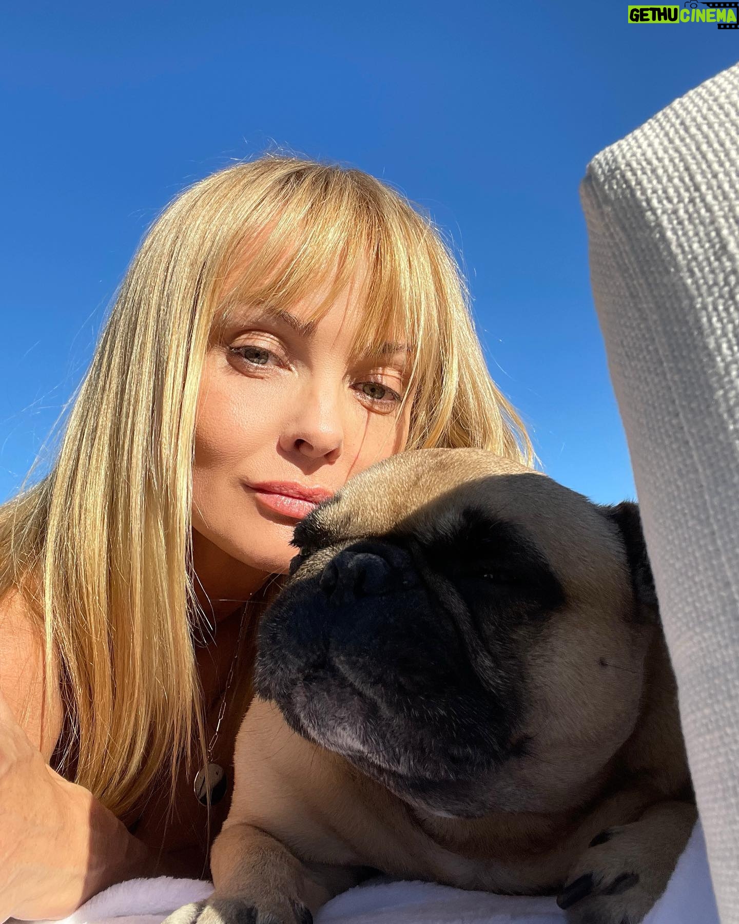 Izabella Scorupco - 7.7K Likes - In dog therapy ❤️🩹