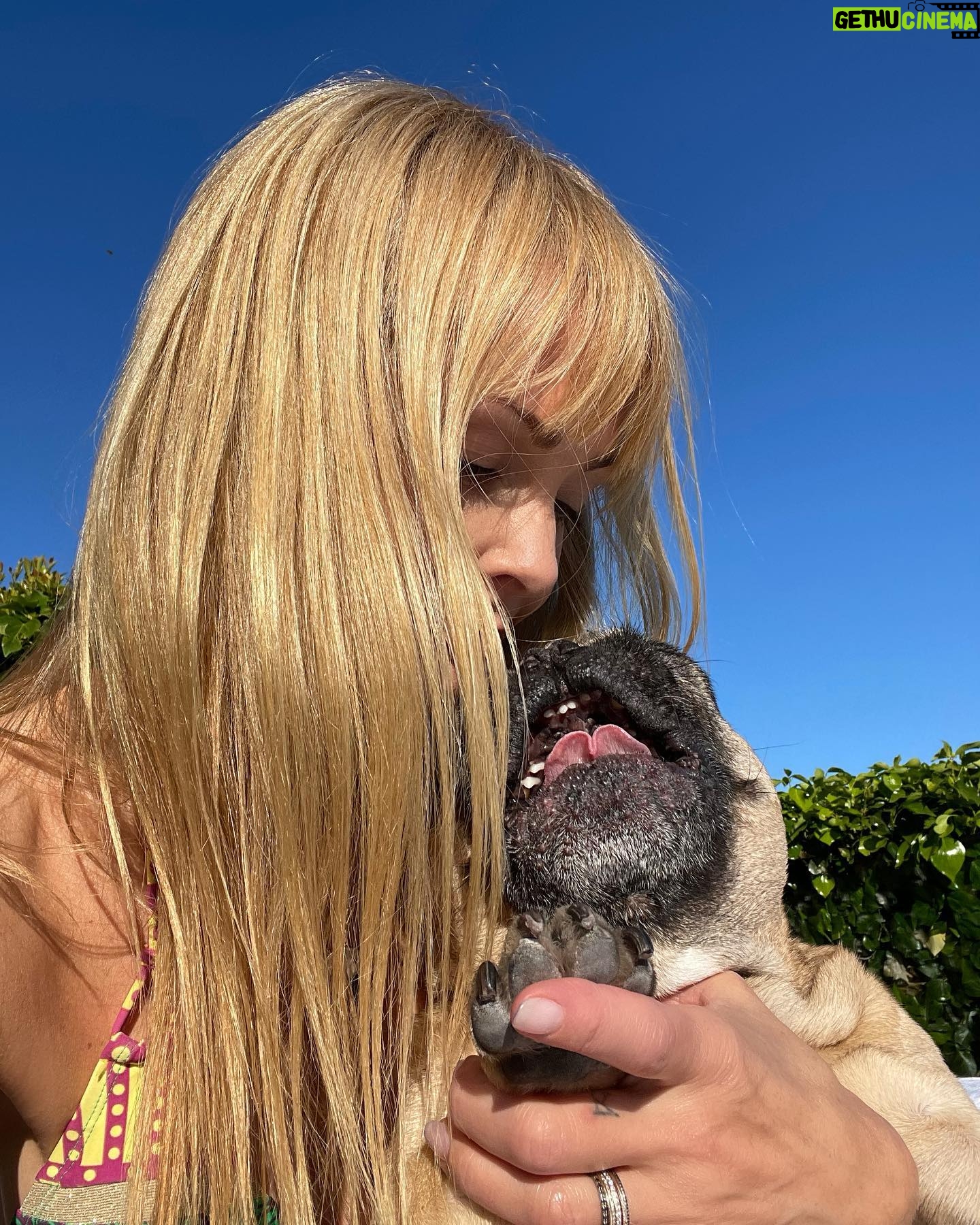 Izabella Scorupco - 7.7K Likes - In dog therapy ❤️🩹