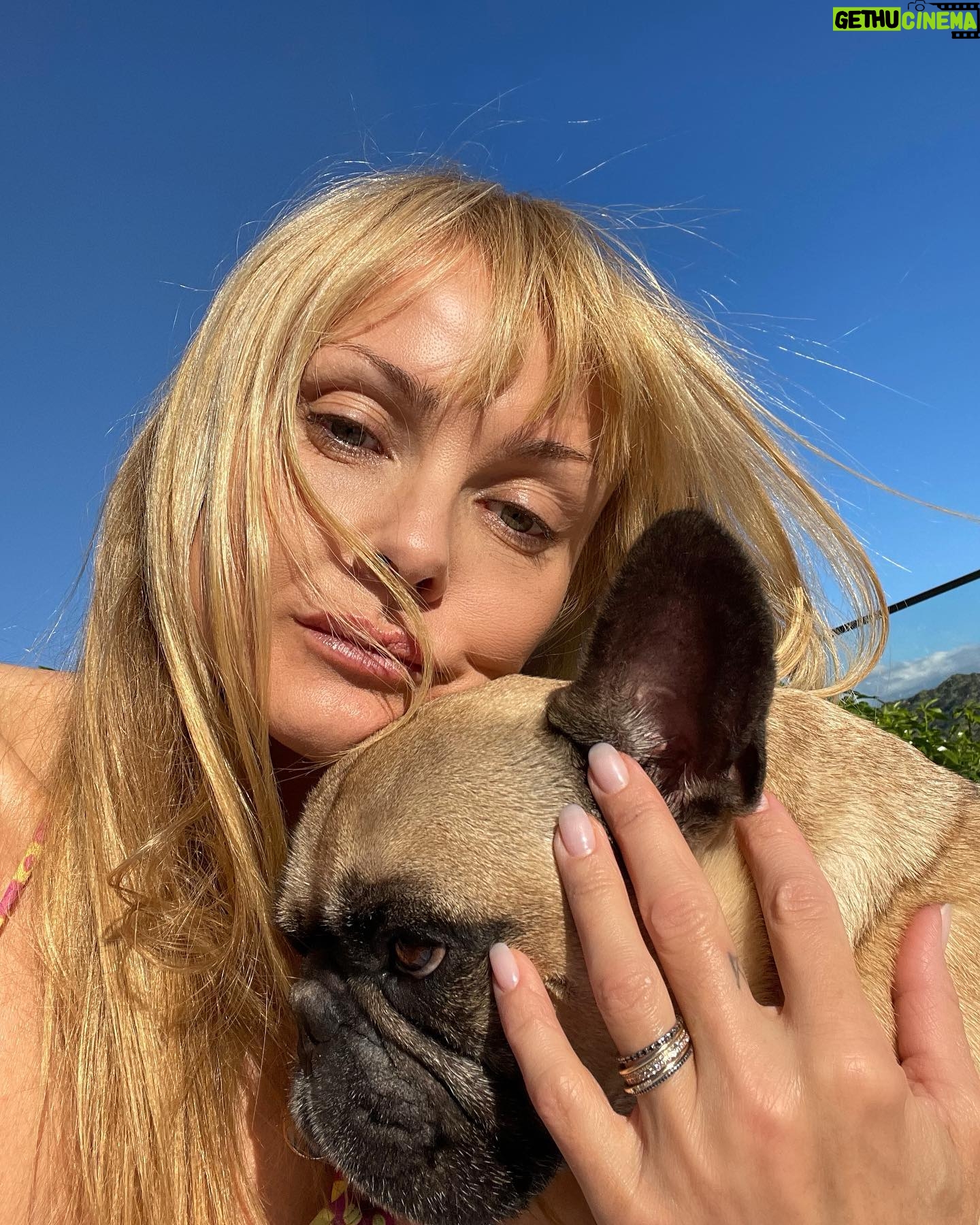 Izabella Scorupco - 7.7K Likes - In dog therapy ❤️🩹