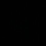 Izabella Scorupco Instagram - #blackouttuesday