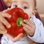 Júlia Belard Instagram – Quando o teu bebé quer comer tudo 🫑 🍌 🍎 🥭 , menos a sopa! Ah e o panda 🐼 com que o tentei enganar 😅😂