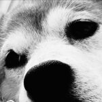 JUJU Instagram -