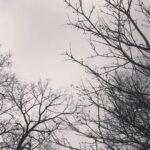 Jacinda Barrett Instagram - Winter