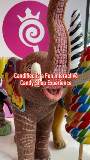 Jackie Sorkin Instagram - It’s candy season so if you’re looking for something fun to do, go no further than @itscandified in Belmont Shore, Long Beach. Candified is an interactive candy shop experience curated by the Candy Queen herself @jackiesorkin. 

You can buy candy in bulk here alongside a selection of vintage and trending freeze dried candies. 

The coolest part of the shop is the ‘Creation Station’ where you can make all sorts of candy art including candy pizza and sushi with the family. 

Next time you’re looking to sate your sweet tooth, be sure to swing on by and get Candified.