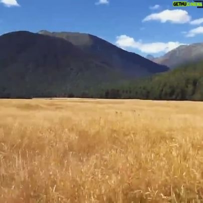 Jacqueline Scislowski | Gethu Cinema